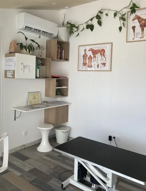 Photo cabinet osteopathie animale loire